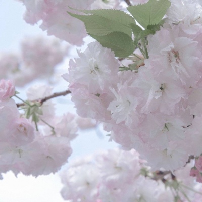 Furry绘画细节处理Furry群